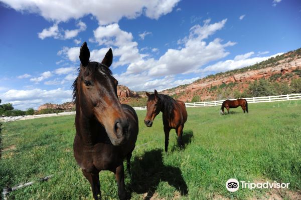 Best Friends Animal Sanctuary