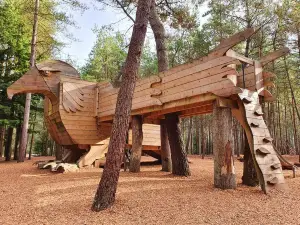 Moors Valley Country Park & Forest
