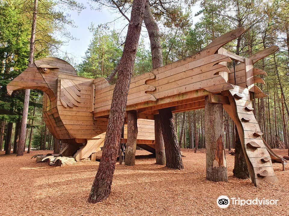 Moors Valley Country Park & Forest
