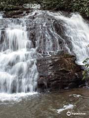 Smithgall Woods Conservation Area