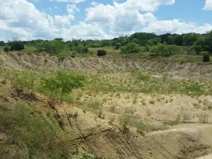 Mineral Wells Fossil Park