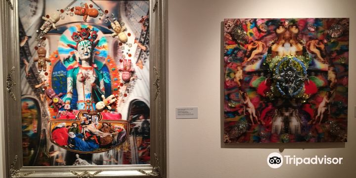 Rollins Museum of Art