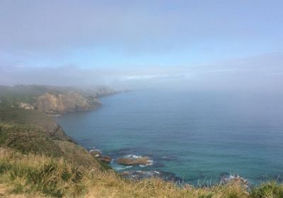 Pointe du Castelmeur