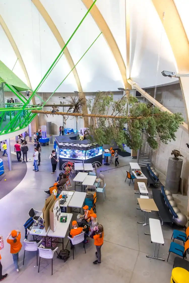 Các khách sạn gần AHHAA Science Centre