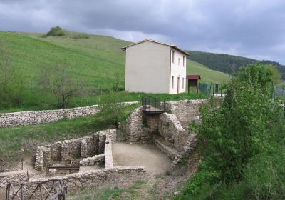 Museo Naturalistico Del Parco Di Colfiorito