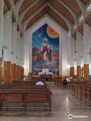 Catedral San Juan Bosco