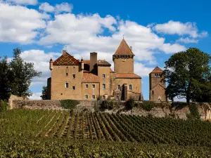 Castle Pierreclos