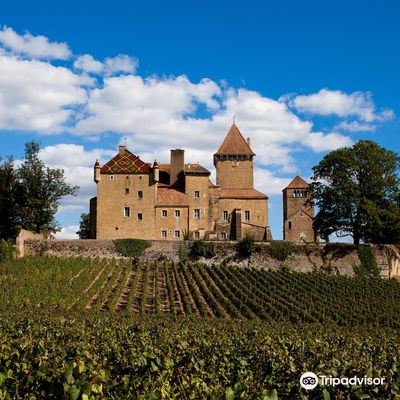 Castle Pierreclos