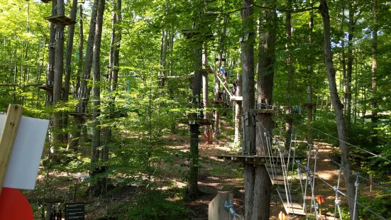 Sky High Aerial Adventure Park