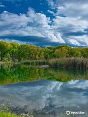 Dead Horse Ranch State Park