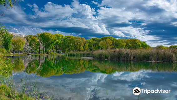Dead Horse Ranch State Park
