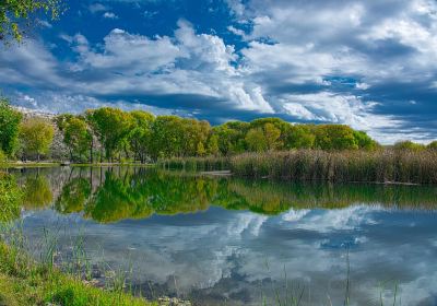 Dead Horse Ranch State Park