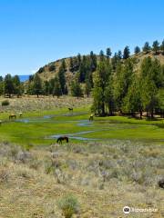 Eagle Nest Lake