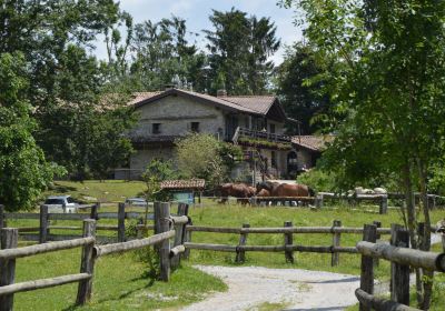 Cascate Rio Boncic/Slapovi reke Bončič