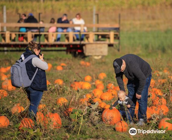Wickham Farms