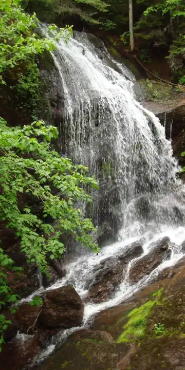 Hotels in Saint John County