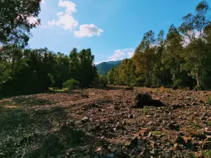 Anfiteatro all'aperto - Parco Urbano