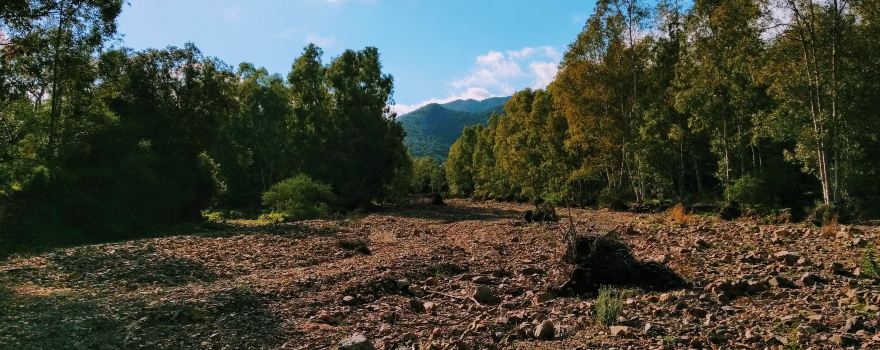 Anfiteatro all'aperto - Parco Urbano
