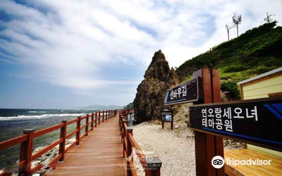 구룡포해수욕장