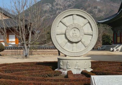 Cheongdo-gun