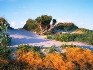 Matagorda Bay Nature Park