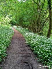 Mortimer Forest