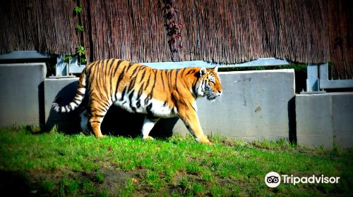 Silesian Zoological Park