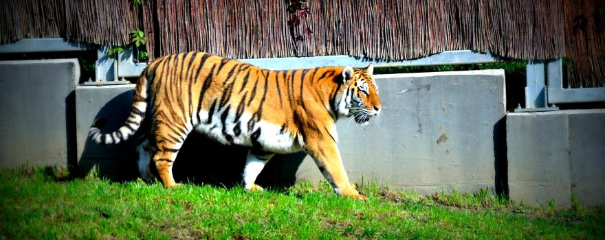 Silesian Zoological Park