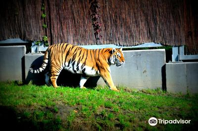 Silesian Zoological Park