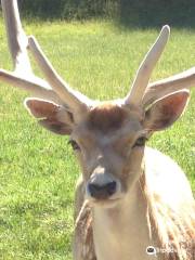 天堂谷野生動物園