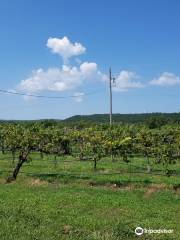 Whispering Vines Vineyard