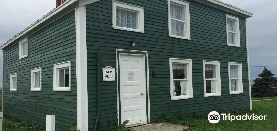 Things to Do in Daniel's Harbour in 2024 Top Attractions, Local Food