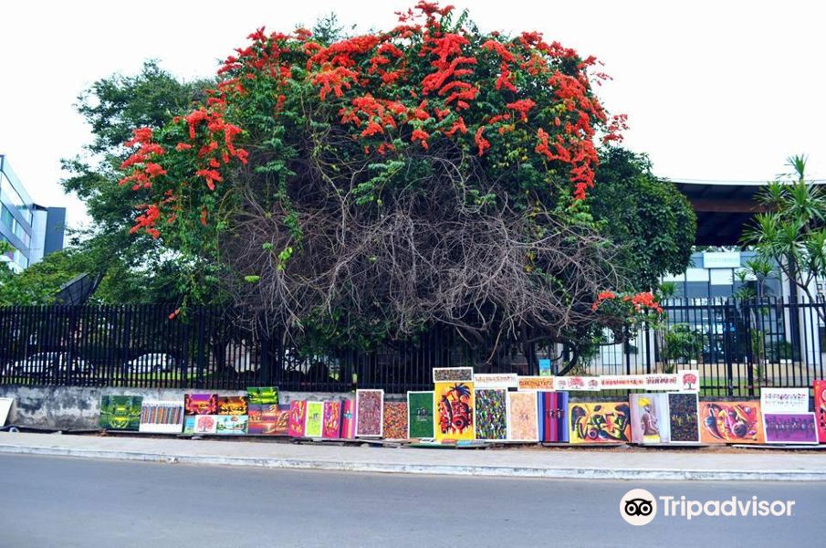 Coimbatore to Libreville Flights