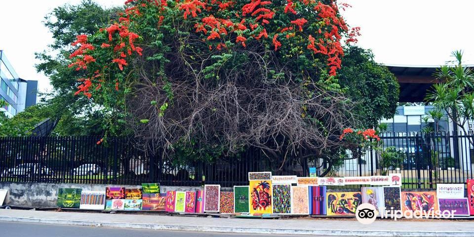 LibrevilleExperiences