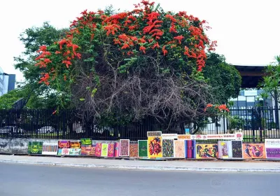 French Institute of Gabon