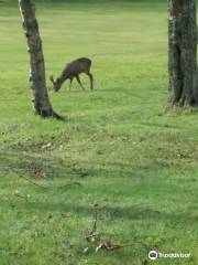 The Bishopbriggs Golf Club