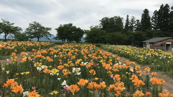 Nagai Ayame Park