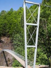 Suspension Bridge