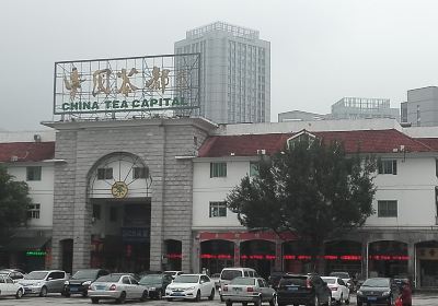 中國茶博彙