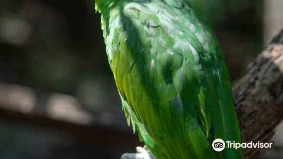 Jungla de Panama Wildlife Refuge