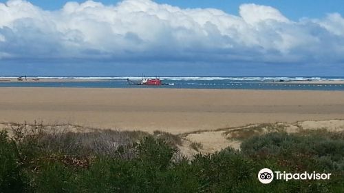 Murray Mouth Lookout