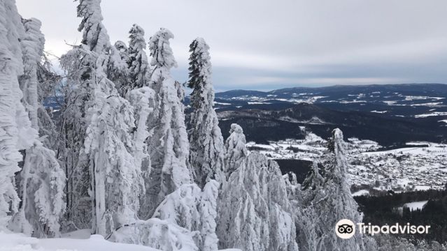 Aktivzentrum Bodenmais