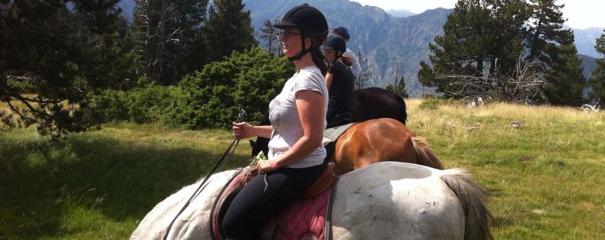 Wild Horse Pirineus Outdoor
