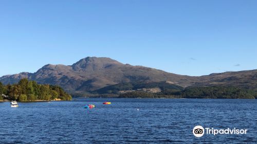 Loch Lomond National Nature Reserve (Inchcailloch)