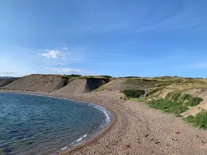 Deadman's Cove Beach & Trail