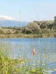 Lago Di Ventina