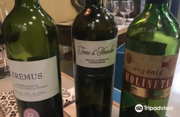 求利阿納德拉維伽