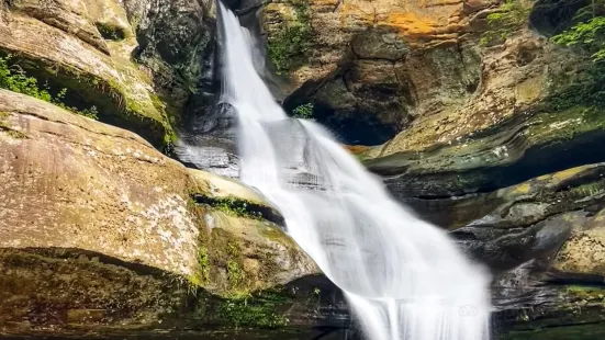 Cedar Falls Hiking Trail