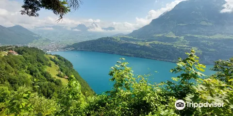 Aussichtspunkt Marienhöhe