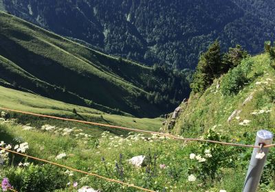 Alpengarten La Rambertia